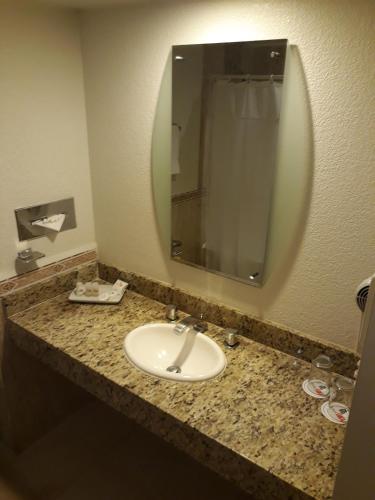 Bathroom 5, Hotel PF, Mexico City