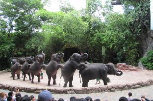 Nearby attraction