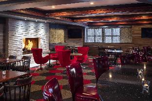 Bar/lounge, Four Points by Sheraton Chicago O'Hare, Cook